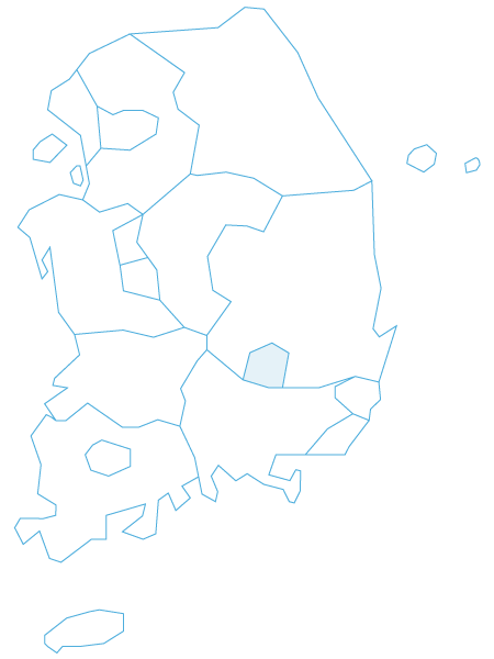 map v2 daegu